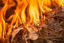 выкса.рф, Поджигатели травы спалили почти пять соток в Виле и Грязной