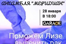 выкса.рф, Благотворительный концерт в поддержку Елизаветы Куровой