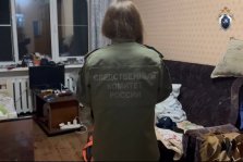выкса.рф, Житель Омска пытался зарезать двух мужчин в Выксе