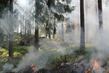 выкса.рф, Два лесных пожара потушили в округе в четверг