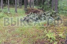 выкса.рф, Выксунцы остановили незаконную свалку в Ризадеевском лесу