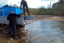 выкса.рф, 250 кг карася «выпустили» в Запасный пруд
