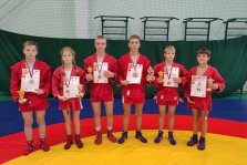 выкса.рф, Юные самбисты завоевали 20 медалей в Москве и Подмосковье