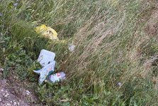 выкса.рф, Мусор из окна: водитель «Приоры» забыл про культуру