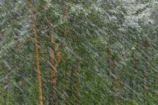 выкса.рф, Снег с дождём и сильный ветер: прогноз погоды на выходные