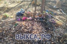 выкса.рф, ❗️ «Это не свалка, а место памяти»: крик души нашей читательницы о мусоре на Черновском кладбище