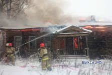 выкса.рф, В Новодмитриевке сгорел расселенный дом