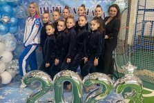 выкса.рф, «Снежный карнавал» принёс восемь медалей гимнасткам из Выксы
