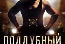 выкса.рф, Поддубный