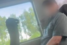 выкса.рф, Полиция нашла нижегородского пенсионера, заснятого за непристойным поведением в автобусе