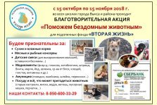 выкса.рф, Благотворительная акция «Поможем бездомным животным»