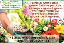 выкса.рф, Супермаркет «Садория»: в продажу поступили луковицы лилий, тюльпанов и пионов