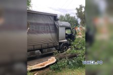 выкса.рф, Дерево упало на грузовик во время движения
