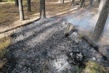 выкса.рф, Выксунец в одиночку потушил лесной пожар за Северным кладбищем