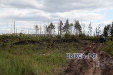 выкса.рф, За м-ном Жуковского местные жители обнаружили лесной пожар