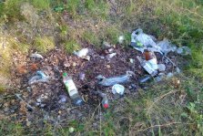 выкса.рф, Отдыхающие закопали гору мусора возле озера в Нижней Верее
