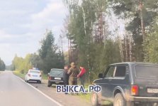 выкса.рф, На трассе Выкса–Кулебаки сбили молодую косулю
