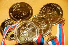выкса.рф, 11 медалей взяли выксунцы на соревнованиях ПФО по самбо