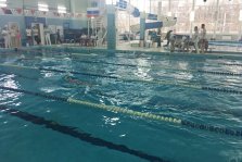 выкса.рф, Юные спортсменки выполнили норматив 3-го взрослого разряда по плаванию