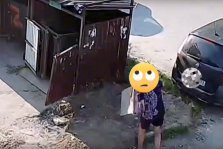 выкса.рф, Бросили мусор мимо бункера? Ожидайте штраф!