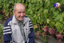 выкса.рф, «Выкса-ТВ»: секреты виноградного дела от Николая Голова