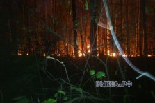 выкса.рф, В Выксе потушили первый лесной пожар