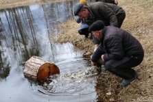 выкса.рф, Более 100 кг молодняка рыбы запустили в Лебединку
