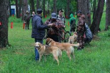 выкса.рф, Соревнования охотничьих собак провели в парке