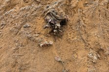 выкса.рф, Песок с могильными цветами и венками обнаружили при укладке новых дорог в Виле