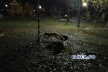 выкса.рф, Выксунцы встретили лису в ночном парке