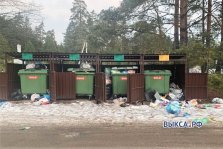 выкса.рф, Несколько контейнерных площадок утонули в мусоре