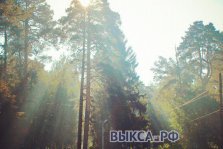 выкса.рф, Солнечное сентябрьское утро