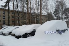 выкса.рф, Подснежники в городе