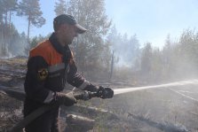 выкса.рф, «Выкса-ТВ»: о пожарной обстановке в лесах региона