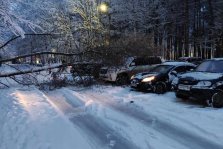 выкса.рф, Упавшее дерево накрыло два автомобиля