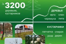 выкса.рф, Более 3200 деревьев и кустарников высажено в округе за год