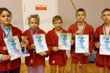 выкса.рф, Юные самбисты завоевали пять медалей в Городце