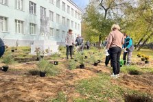 выкса.рф, «Цветочная дружина» украсила школьный двор