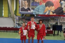 выкса.рф, 🥋 Два золота выксунских самбистов на турнире в Нижнем Новгороде