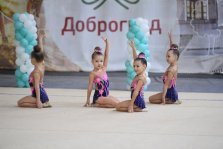 выкса.рф, Два серебра и бронзу завоевали гимнастки в Доброграде