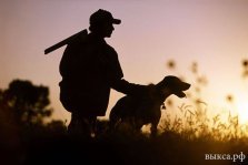 выкса.рф, 25 июля в Нижегородской области открывается сезон охоты с собаками