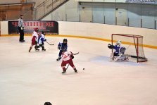 выкса.рф, Призовые места заняли выксунские хоккеисты на соревнованиях в Муроме и Кстово