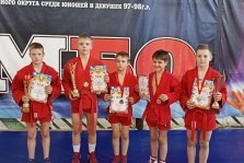 выкса.рф, Самбисты взяли восемь медалей на первенстве Нижнего Новгорода