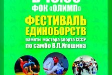 выкса.рф, Фестиваль единоборств