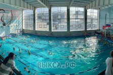 выкса.рф, 92 юных пловца покорили «Весенние старты» и привезли домой россыпь наград из Навашино