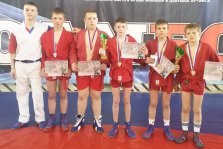 выкса.рф, Юные самбисты взяли восемь медалей в Нижнем Новгороде
