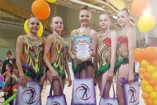 выкса.рф, Четыре медали завоевали гимнастки на первенстве в Нижнем Новгороде