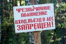 выкса.рф, Введен запрет на посещение лесов
