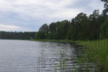 выкса.рф, В озере Свято обнаружен труп утонувшего мужчины