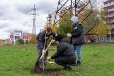 выкса.рф, Более 800 деревьев и кустарников посадили в округе за год